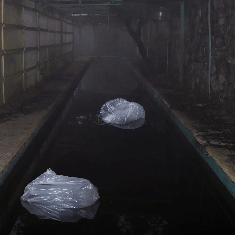 REVIEW: INFINITE ERROR – PLAGUED BY&nbsp;MEANING