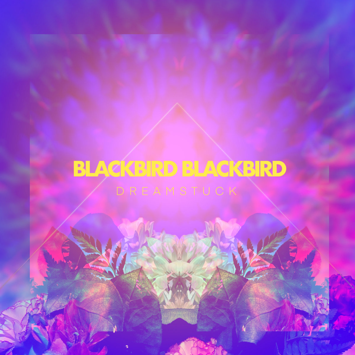 REVIEW: BLACKBIRD BLACKBIRD – D R E A M S T U C K